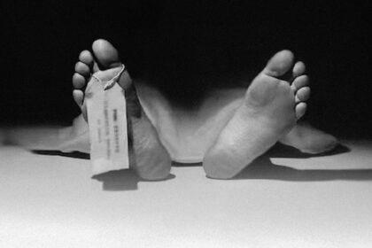muertes mexico 2025 AqH6ZS