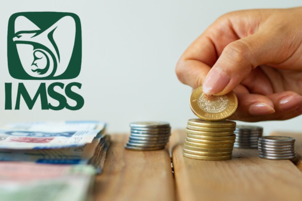 pension imss CD2wPs