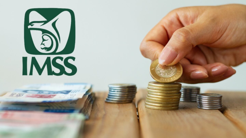 pension imss CD2wPs