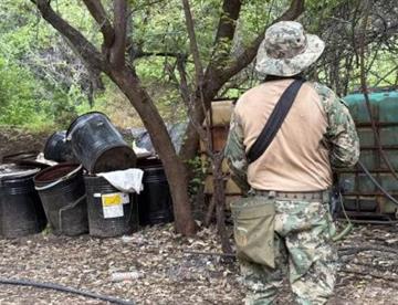 sinaloa 1 focus 0.08 0.3 360 276 7X4zRZ